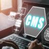 CMS Designing & Development